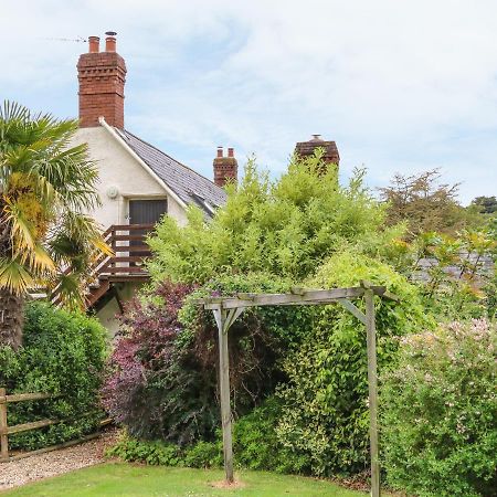 Fig Trees - Wibble Farm Apartment Williton Exterior photo