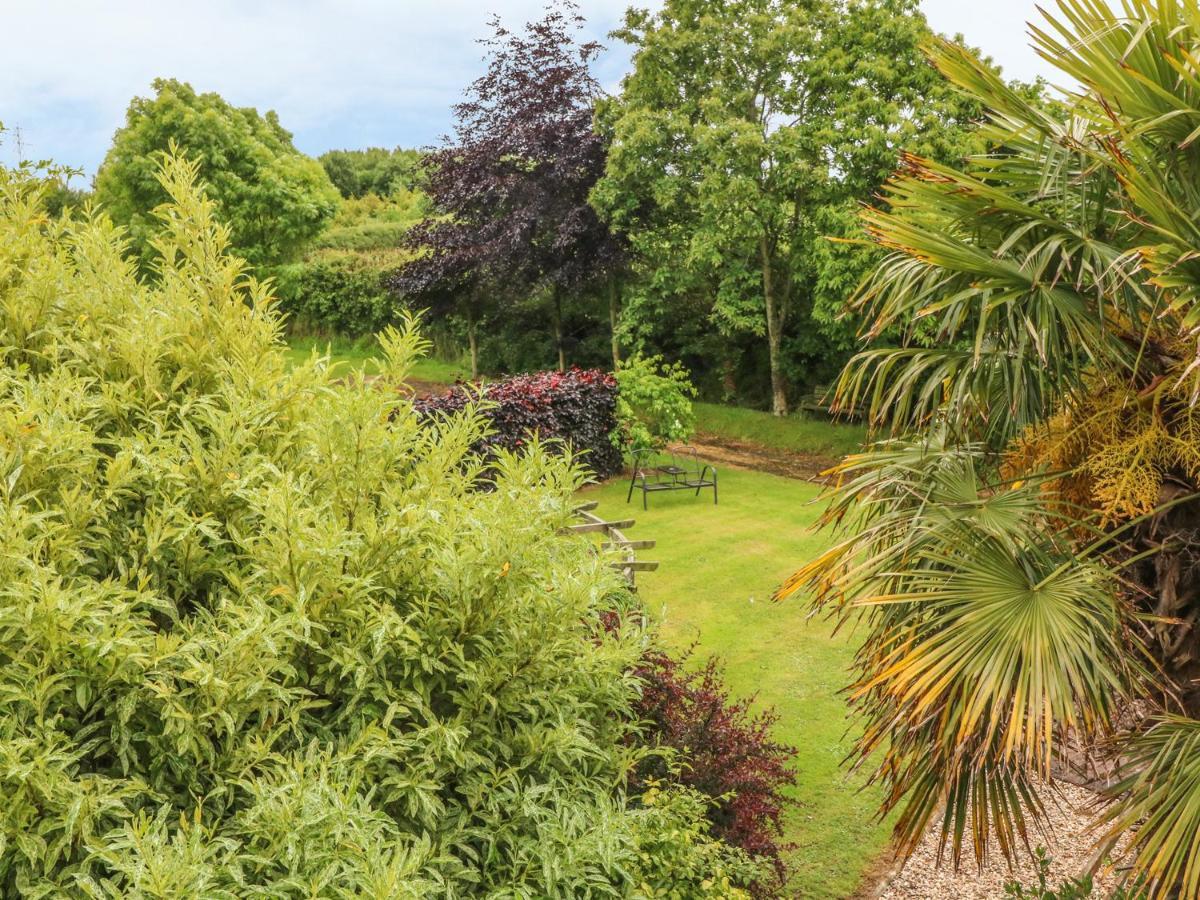 Fig Trees - Wibble Farm Apartment Williton Exterior photo